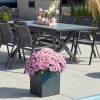 HARTMAN Xanadu / Aruba Garten-Essgruppe, xerix, Alu/Textilene/Glaskeramik, 6 Stapelsessel, 160/220x100cm